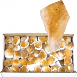 Crystal Points by the Flat - Citrine (4.5 lbs ~ 5 lbs)