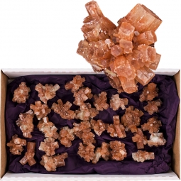 Crystal Points by the Flat Aragonite (25-35/box)