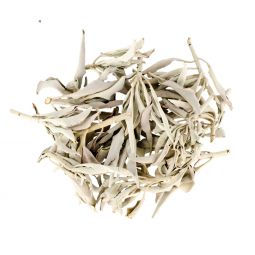 Smudge Herbs Clusters California White Sage  (1 Lb)