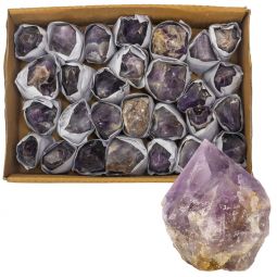 Gemstone Polished Top Points by the Flat - Amethyst (5-6lbs)