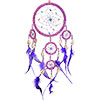 Dreamcatcher Beaded  Purple Feathers Iridescent Pi