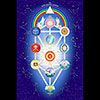 Poster  Universal Tree of Life  (each)