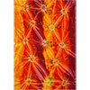 Rayon Sarong  Tie Dye Orange (each)