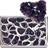 Druzes by the Flat Grade A+  Amethyst (each)