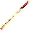 Hem Square Pack Incense 8 gr  Cinnamon  (pack of 2