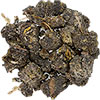 Forgotten Essence Resin Incense Palo Santo  (1 lb)