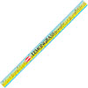 Hem Square Pack Incense 8 gr Lemongrass  (pack of