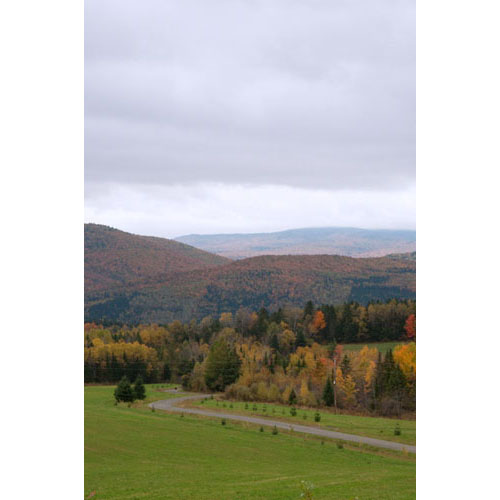 View of our property in the fall