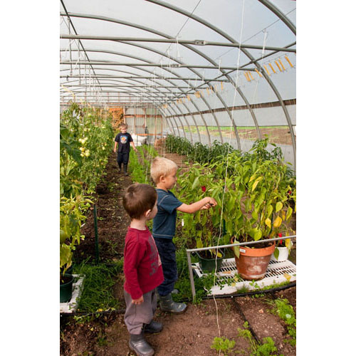 The children learn at a very early age how to care for the plants, they love to pick the vegetables and eat them right away
