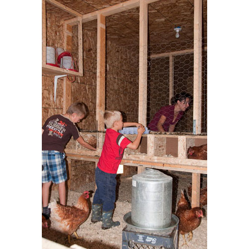 Collecting the eggs