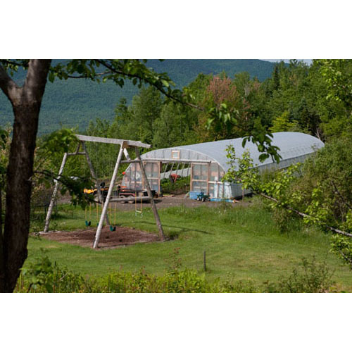 The first of our two greenhouses
