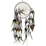 Wood Whispers Dream Catcher