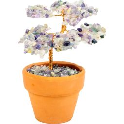 Gemstone Bonsai Tree In Terracotta Pot - Fluorite (Each)