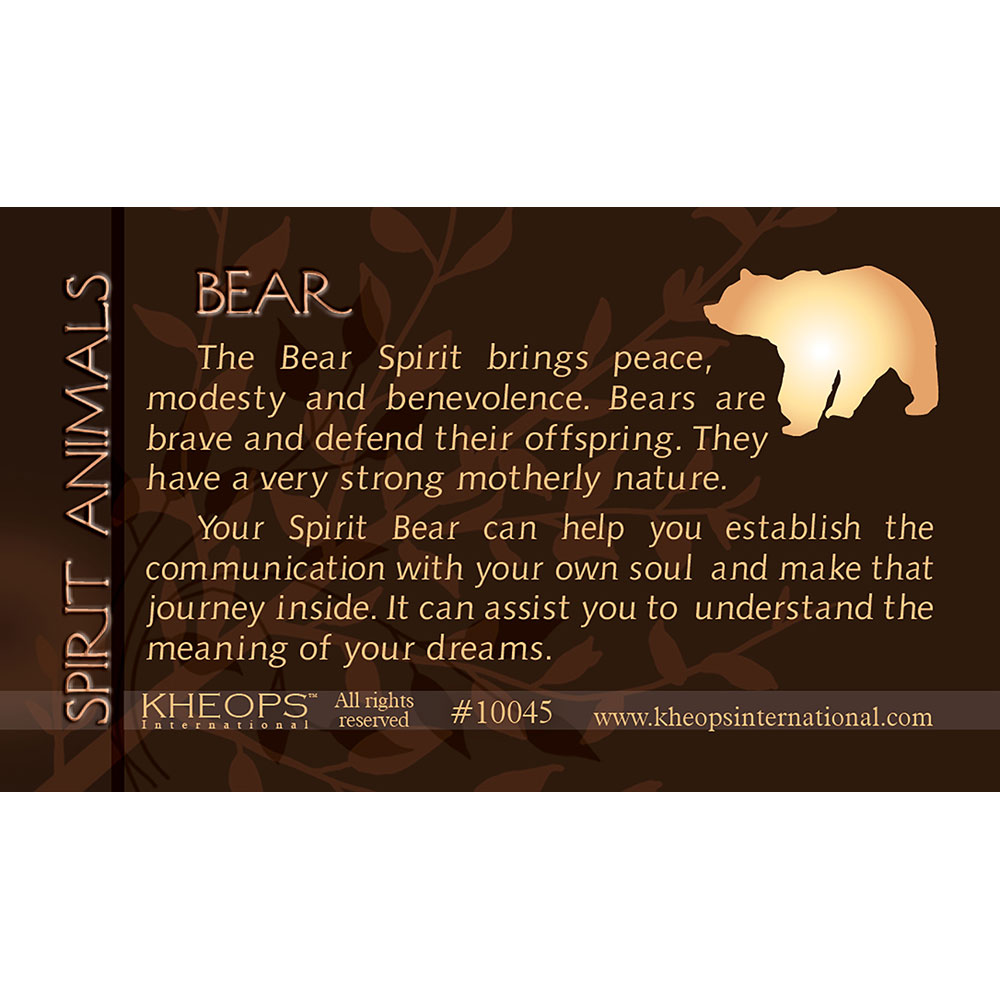 Spirit ANIMAL Info Card  Bear  (each)