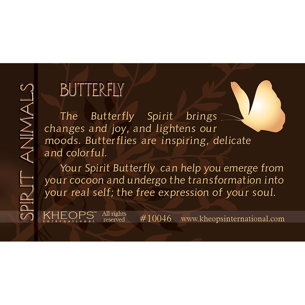 Spirit ANIMAL Info Card  Butterfly  (each)
