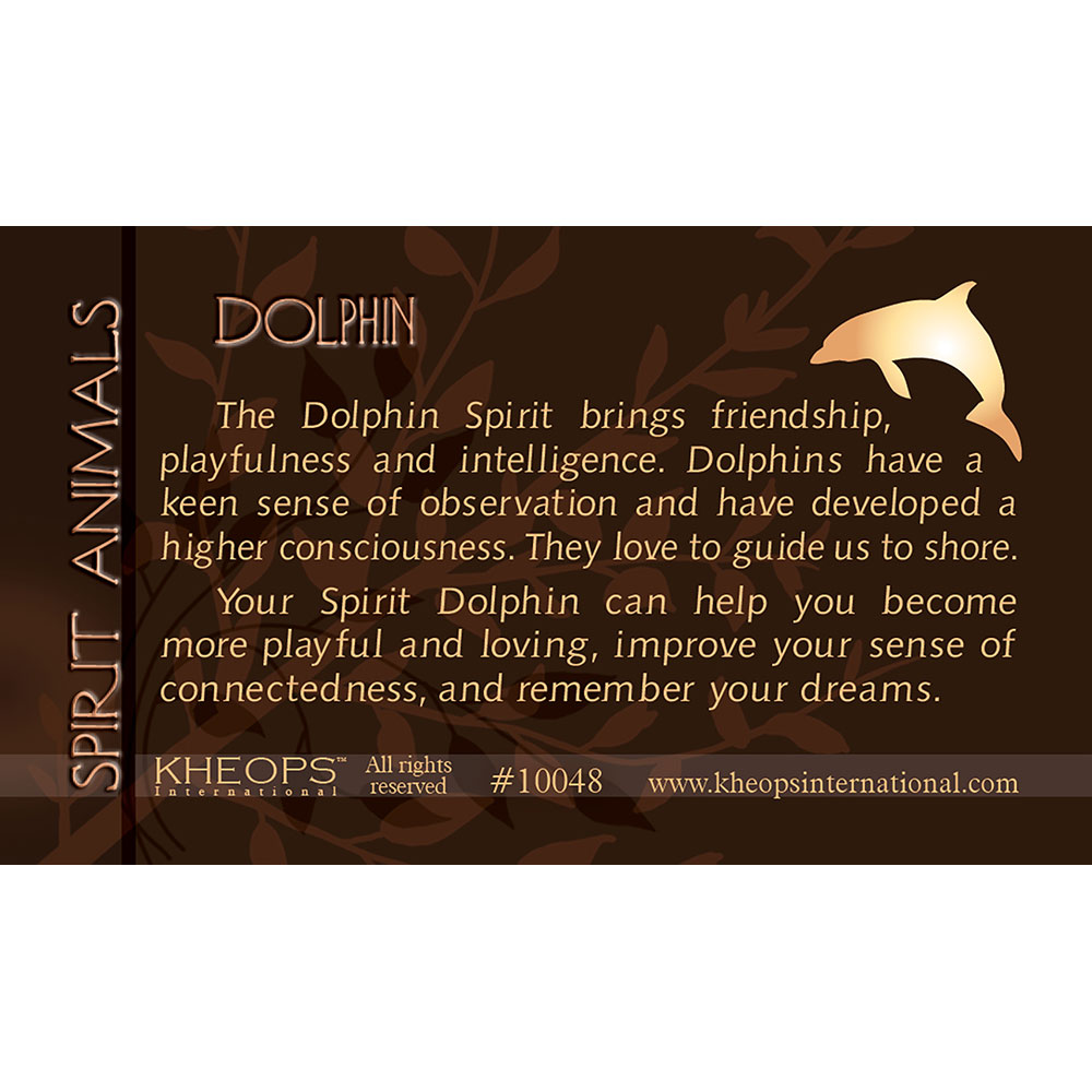 Spirit Animal Info Card Dolphin (each): Kheops International