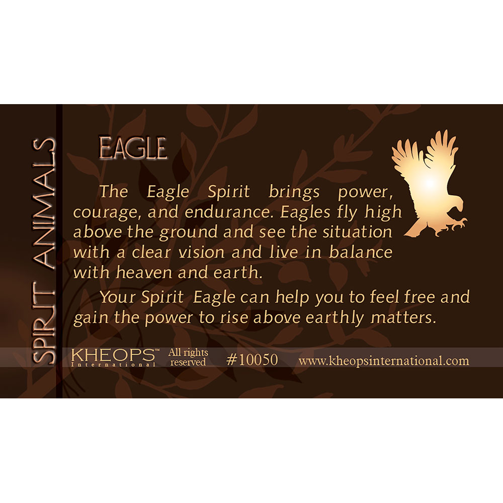 Spirit ANIMAL Info Card  Eagle  (each)