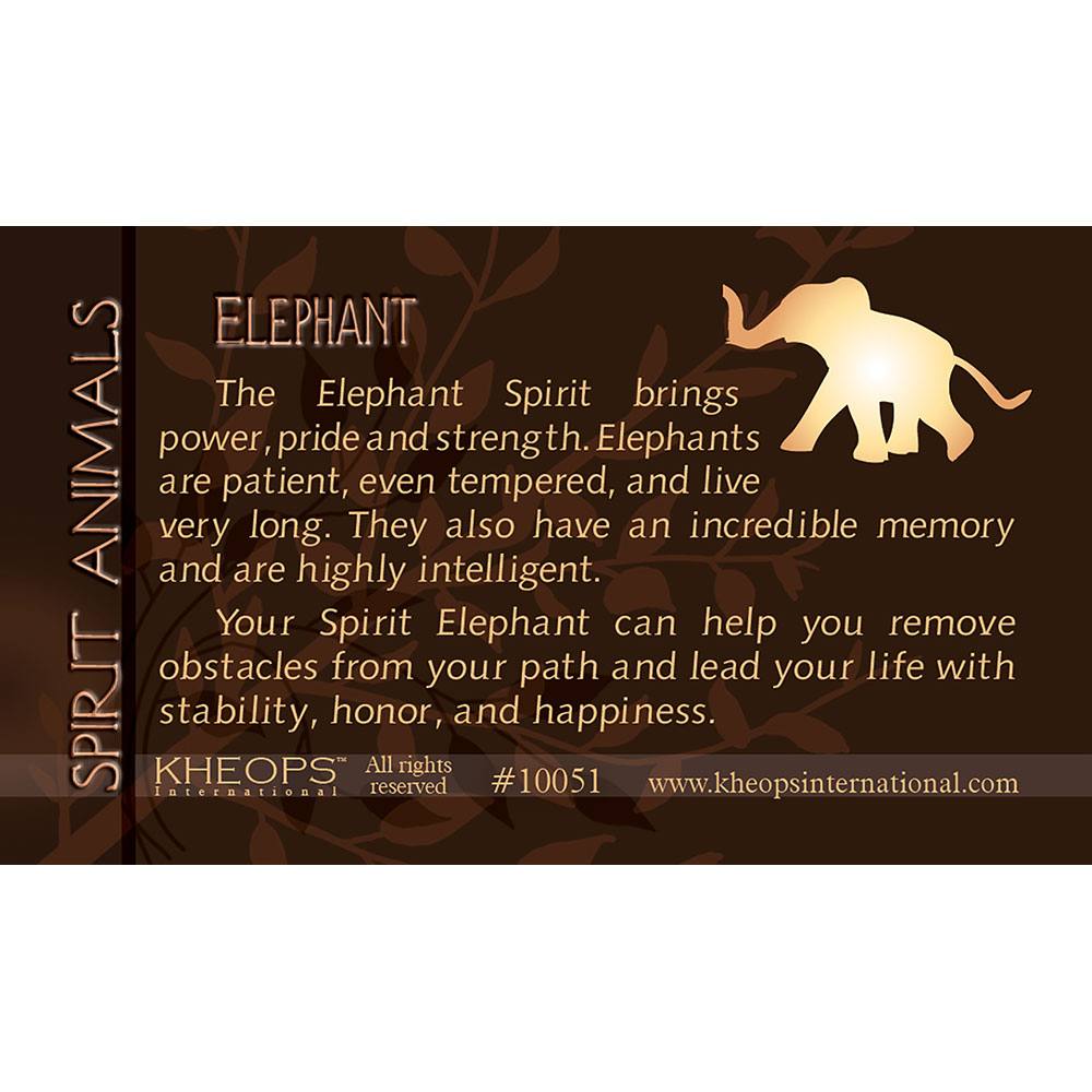 Spirit ANIMAL Info Card  Elephant  (each)