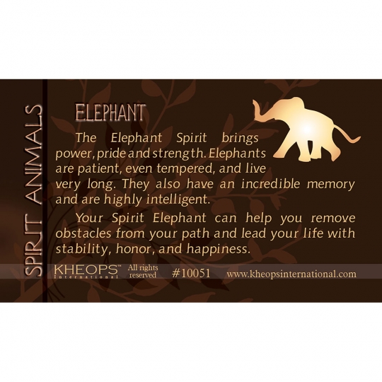 Spirit Animal Info Card  Elephant  (each)