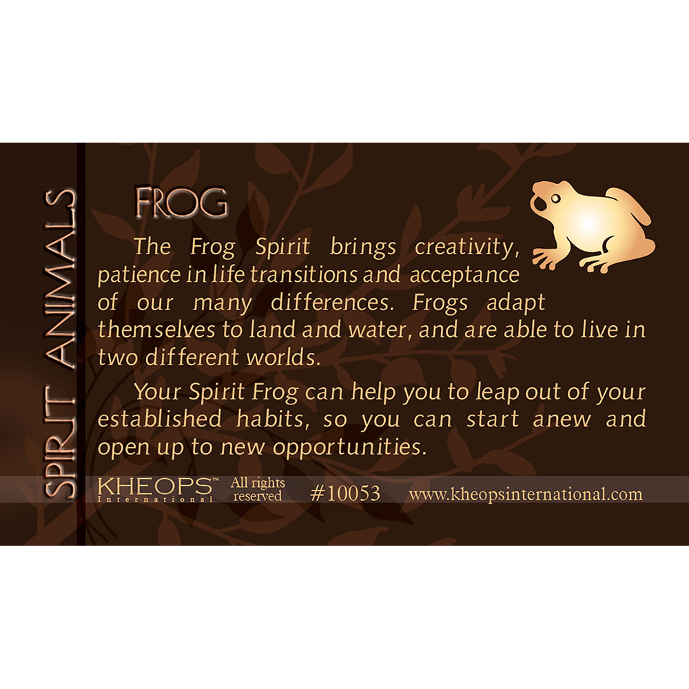 Spirit ANIMAL Info Card  Frog  (each)