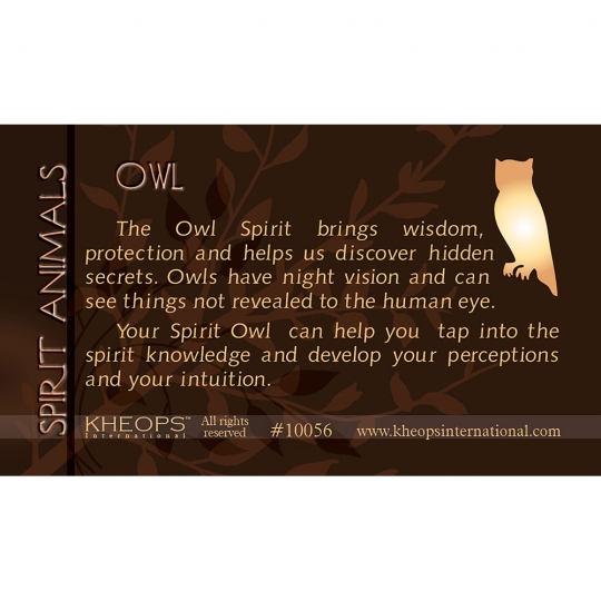 Spirit Animal Info Card  Owl  (each)