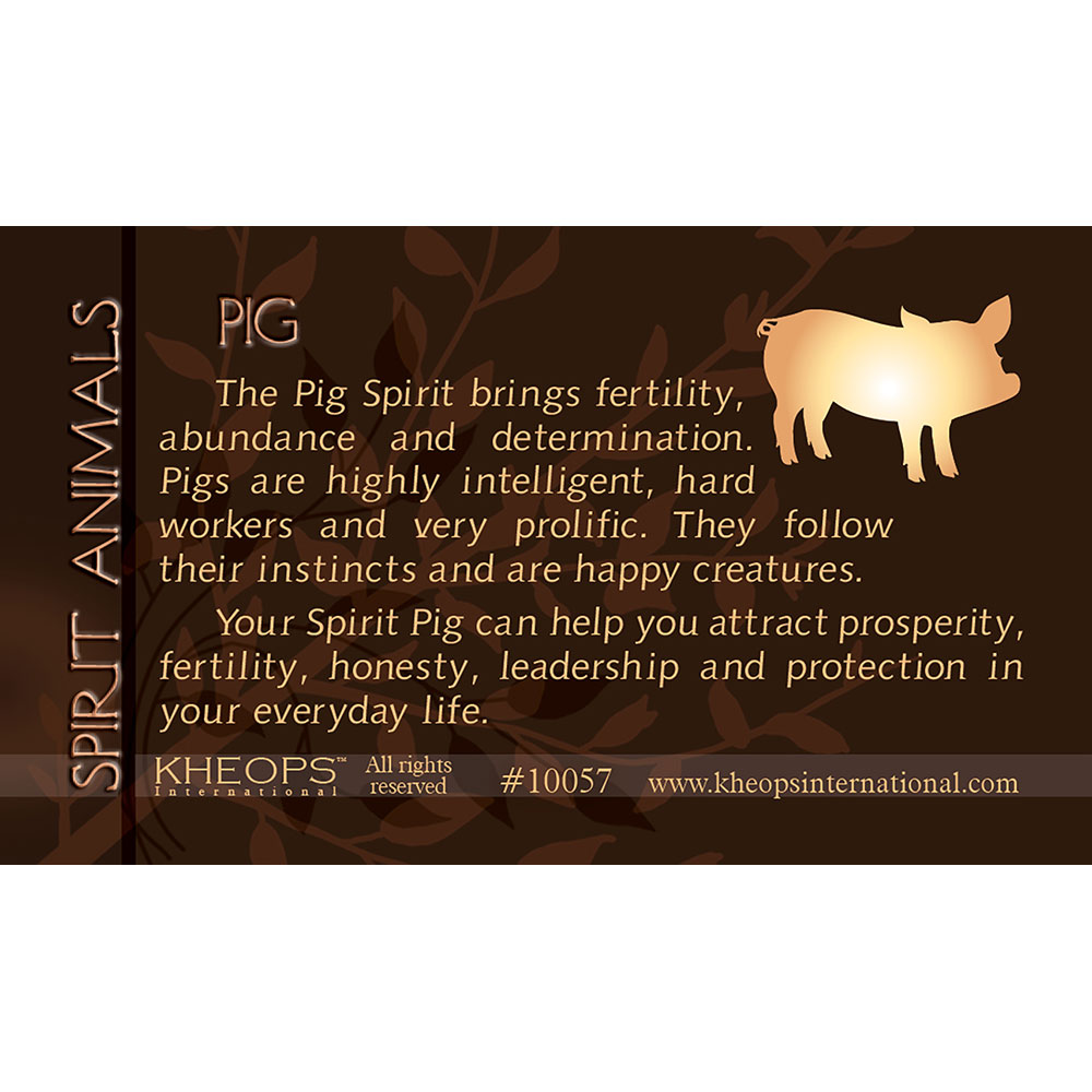 Spirit ANIMAL Info Card  Lucky Pig  (each)