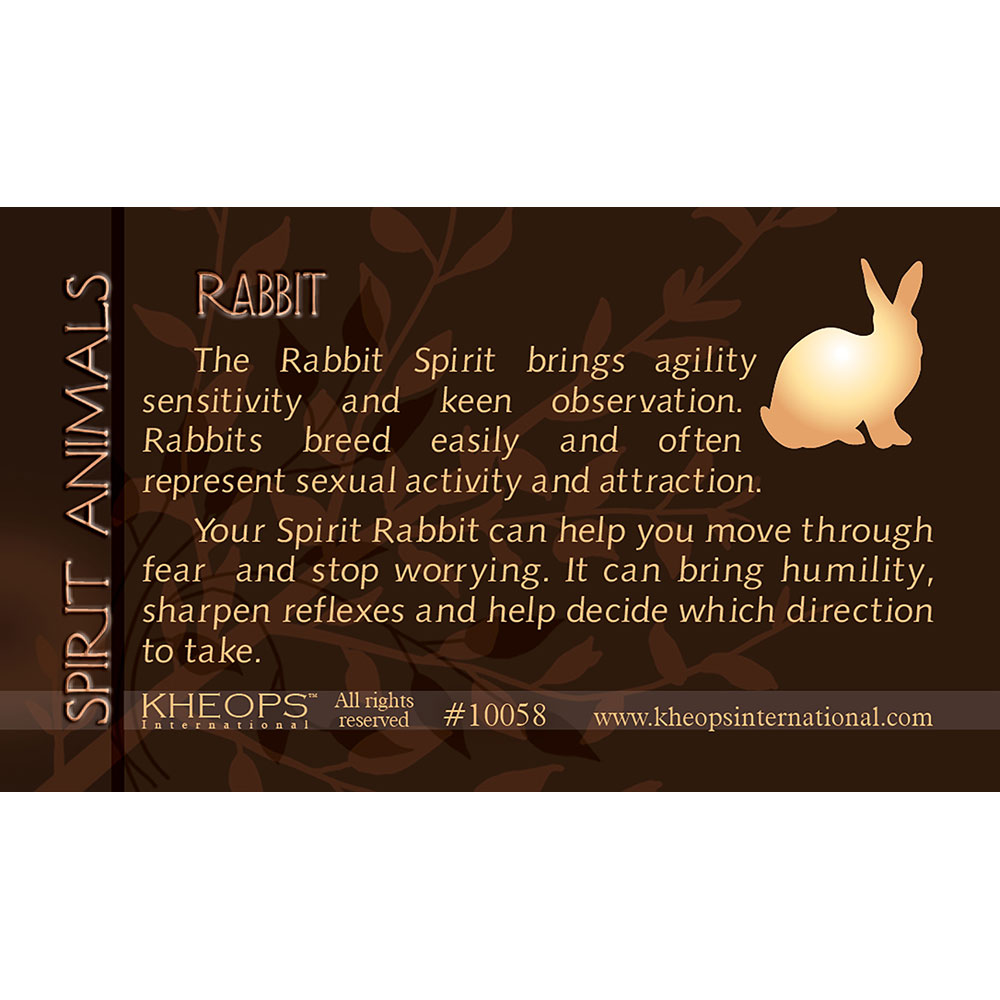 Spirit ANIMAL Info Card  Rabbit  (each)