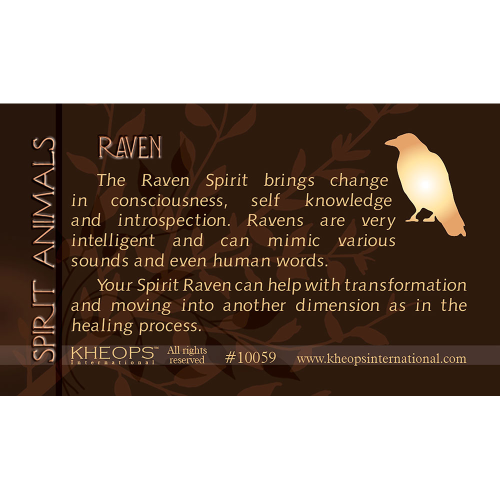 Spirit ANIMAL Info Card  Raven  (each)