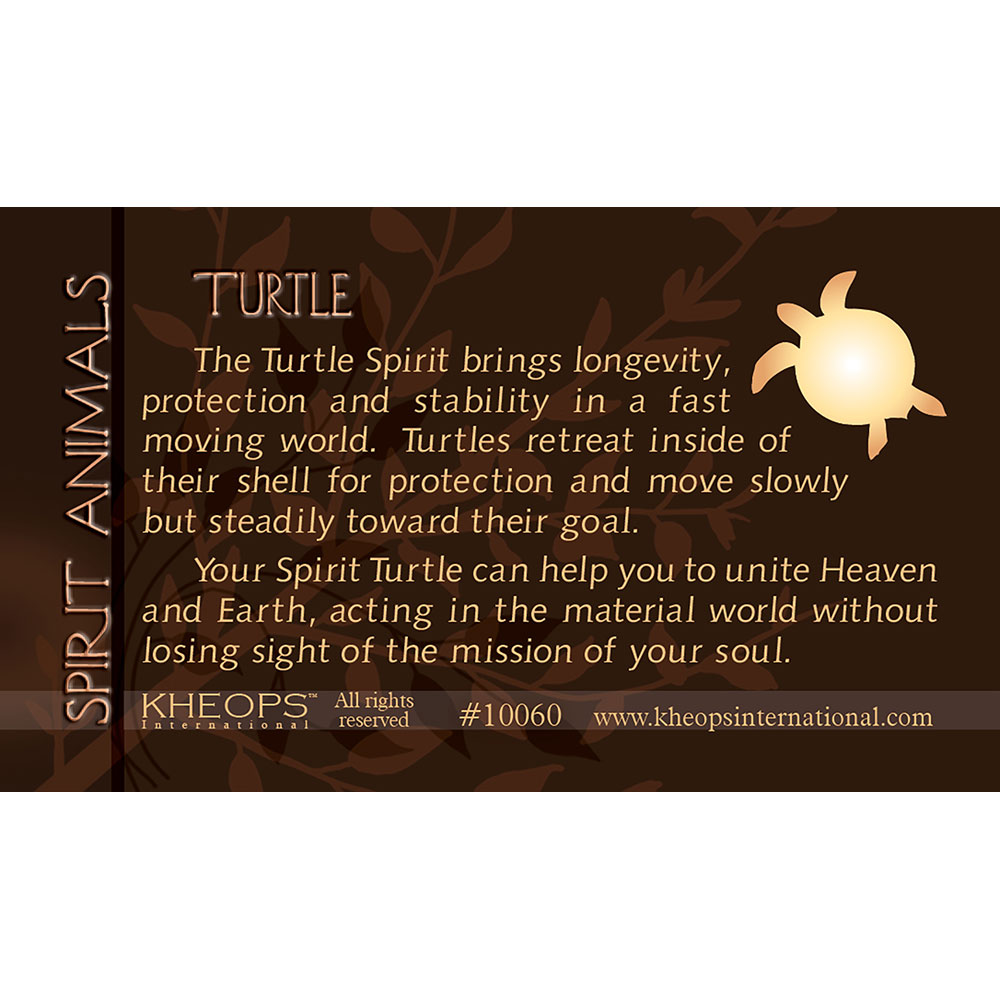 Spirit Animal Info Card Turtle (each): Kheops International