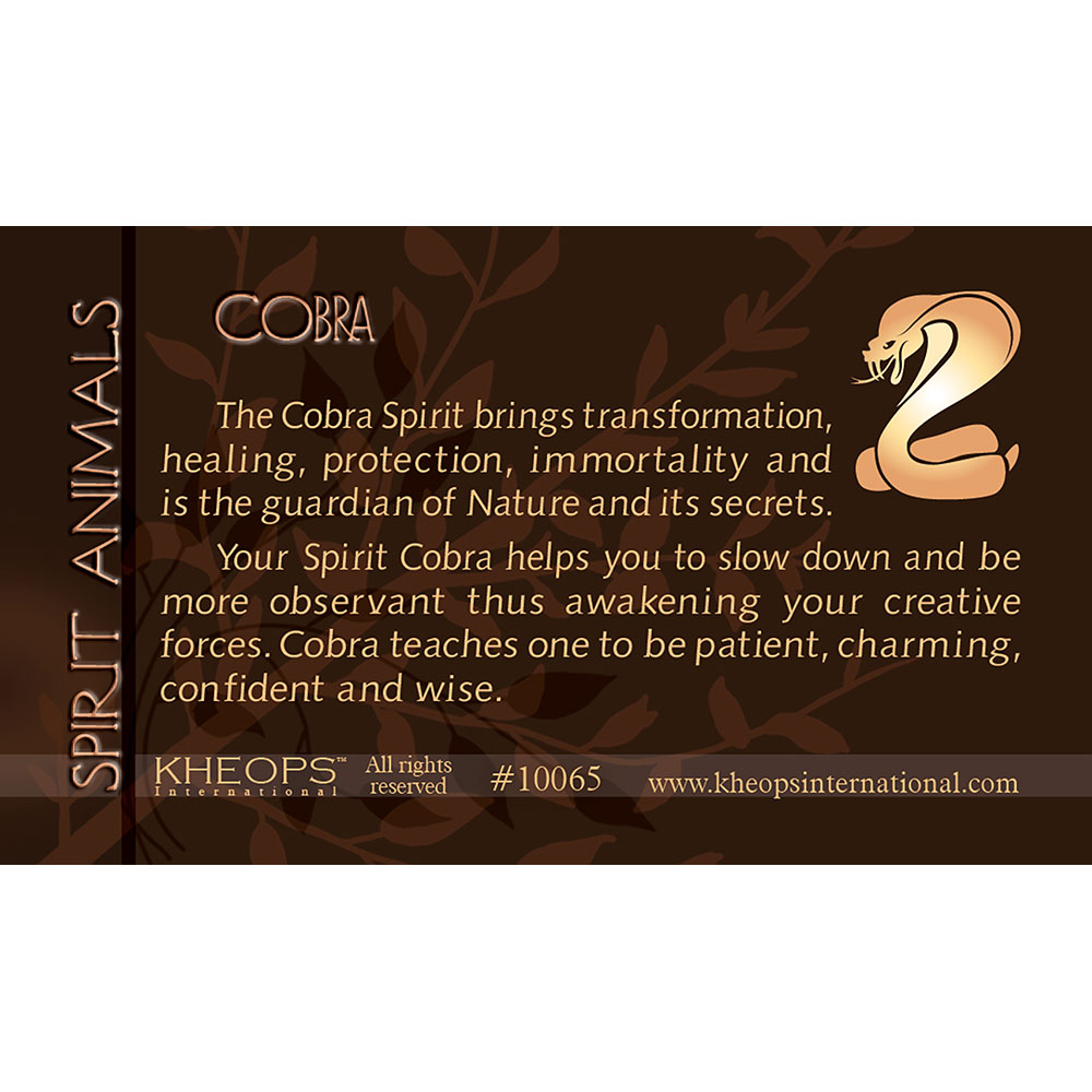 Spirit ANIMAL Info Card Cobra (each)