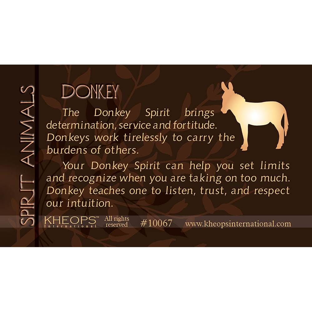 Spirit Animal Info Card Donkey (each): Kheops International