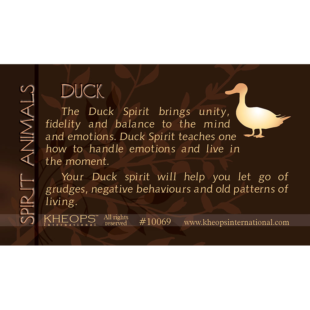 Spirit Animal Info Card Duck (each): Kheops International