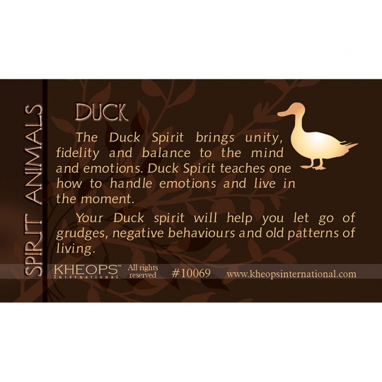 Spirit Animal Info Card Duck (each)