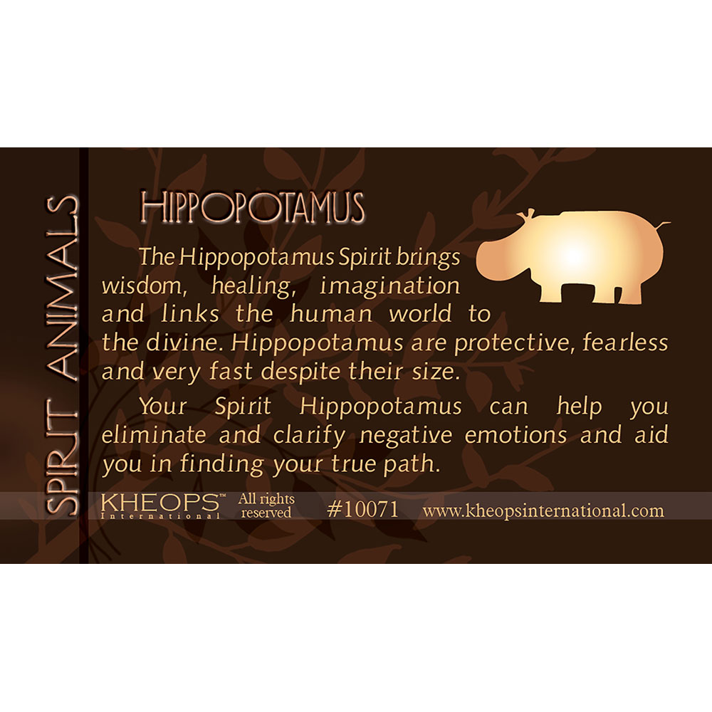 Spirit ANIMAL Info Card Hippo (each)