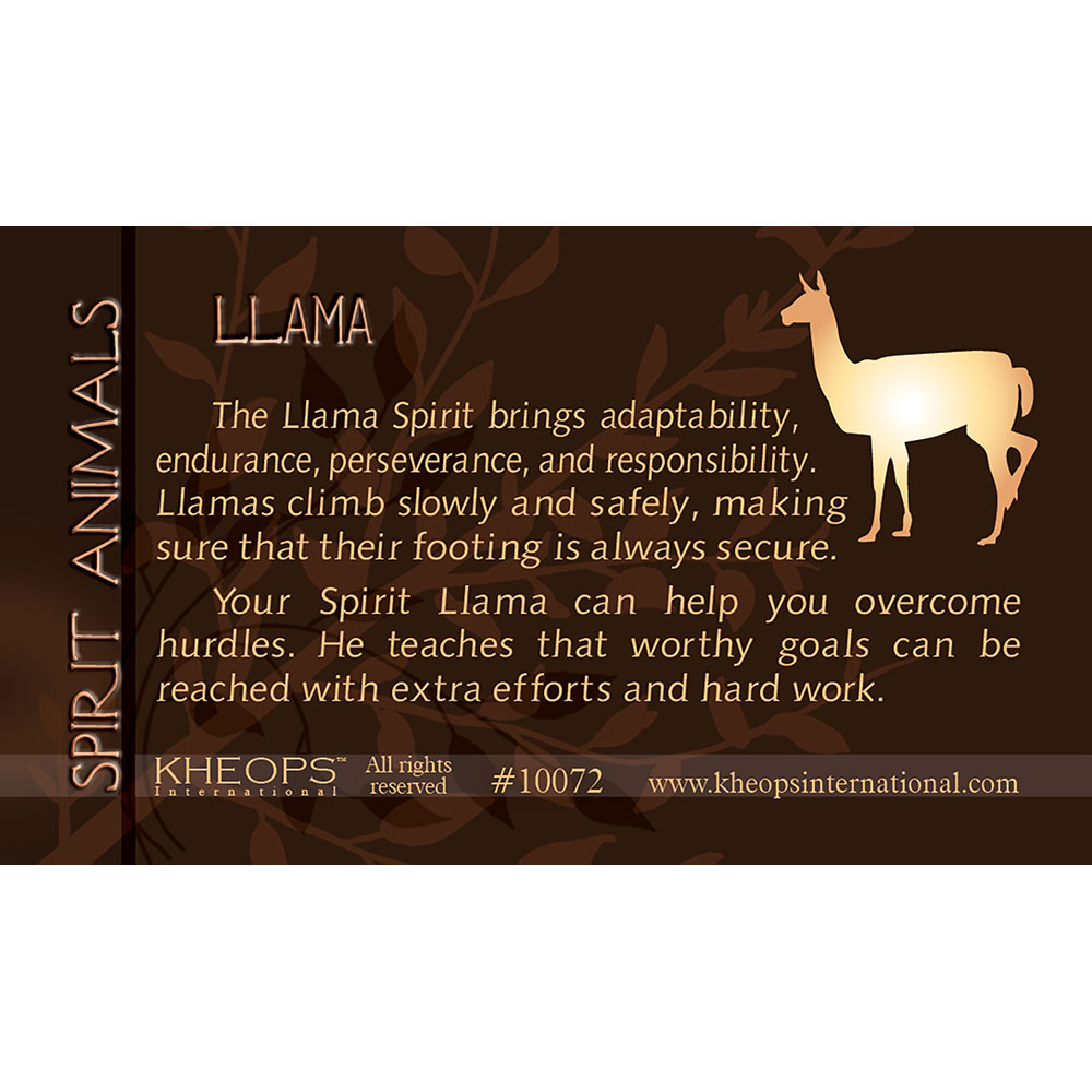Spirit Animal Info Card Lama (each): Kheops International