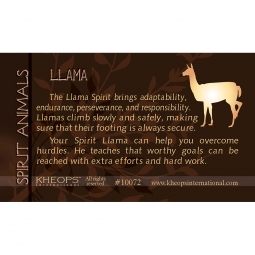 Spirit Animal Info Card Lama (each)