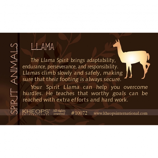 Spirit Animal Info Card Lama (each)