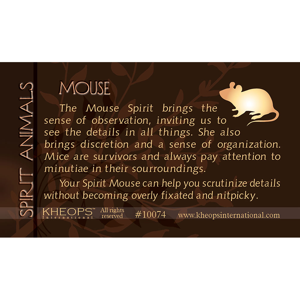 Spirit ANIMAL Info Card Mouse (each)