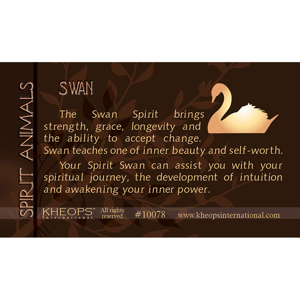 Spirit ANIMAL Info Card Swan (each)