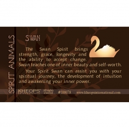 Spirit Animal Info Card Swan (each)