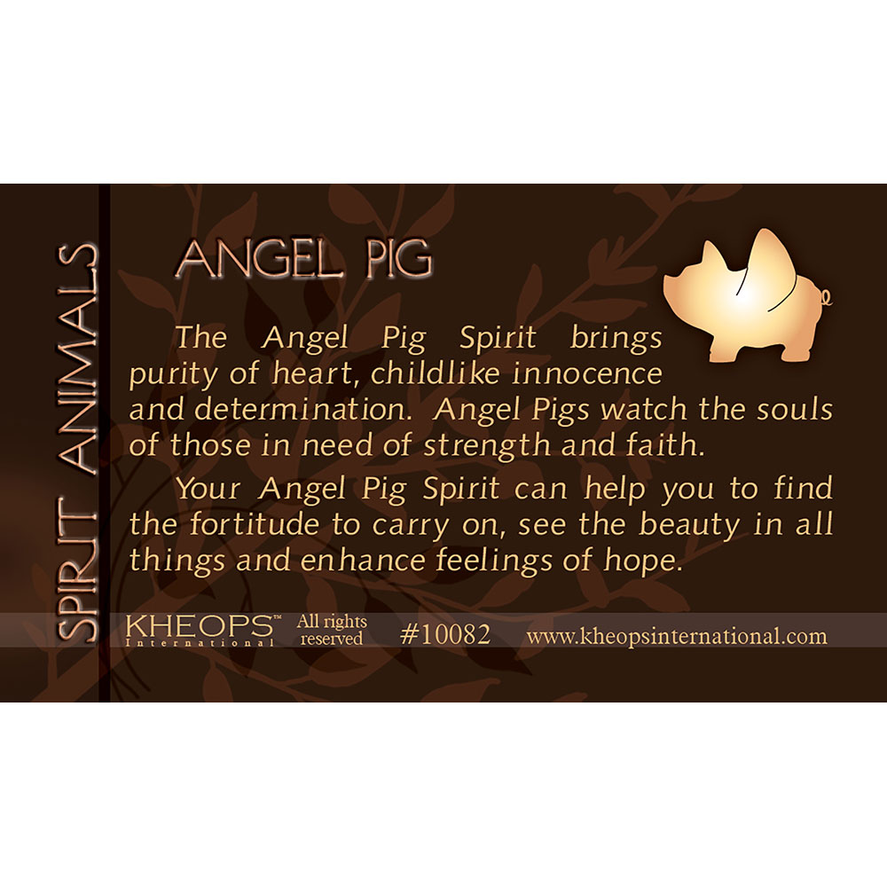 Spirit ANIMAL Info Card Angel-Pig (each)