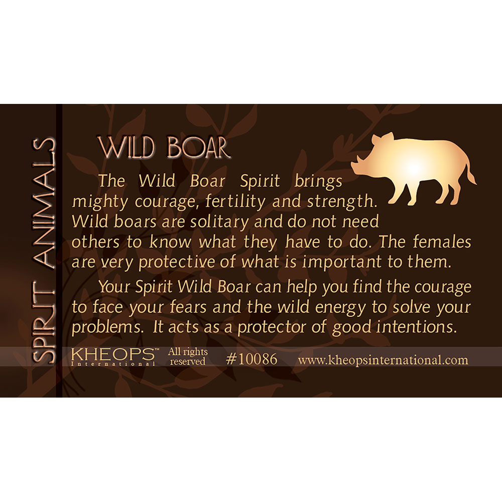 Spirit ANIMAL Info Card Wild Boar (Each)