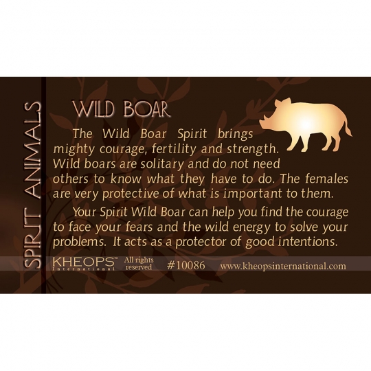 Spirit Animal Info Card Wild Boar (Each)