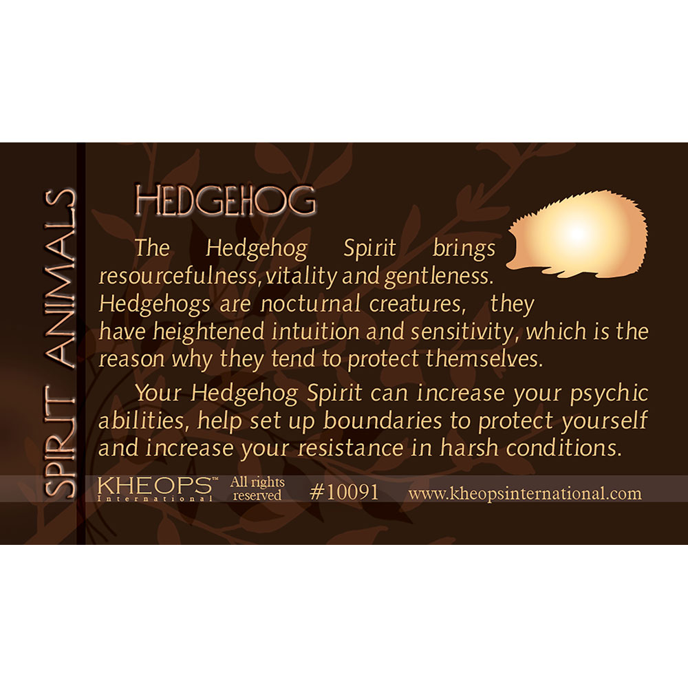 Spirit ANIMAL Info Card Hedgehog (Each)