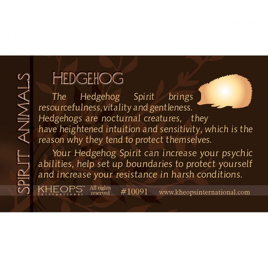 Spirit Animal Info Card Hedgehog (Each)