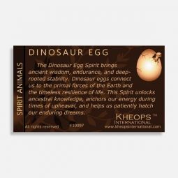 Spirit Animal Info Card Dinosaur Egg (Each)