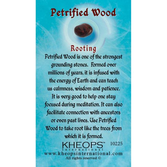 Gemstone Properties Info Card - Petrified Wood (Each)