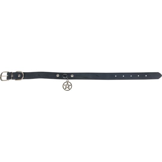 Vegan Leather Dog Collar - Pentacle - Large (Each)