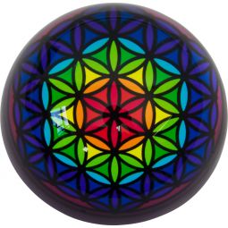 Clear Glass Paper Weights