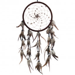 Dreamcatcher Tiger Eye Beads Spiral Web Brown (each)